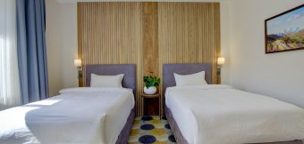 Deluxe with separate beds: Photo 1